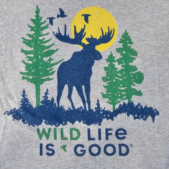 Life Is Good Gray Tee with Blue and Green Design - Picture 1 of 6